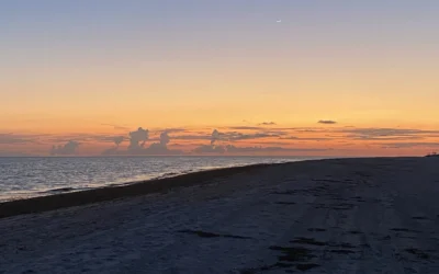 Post-Hurricane Ian: What Sanibel Buyers Need to Know in 2026